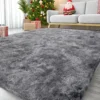 Ultra-Soft Puffy Rug, Bedroom & Living Room Indoor Floor Mat