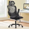 S8a1f7321b3284da2a4c9677aa3b6f879C.webp Mesh Ergonomic Office Computer Desk Chair Flip-up Arms Adjustable Headrests Comfortable Lumbar Support