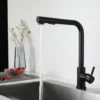 Kitchen pull-out faucet 304 stainless steel hot and cold faucet black sink faucet with two levels of water outlet