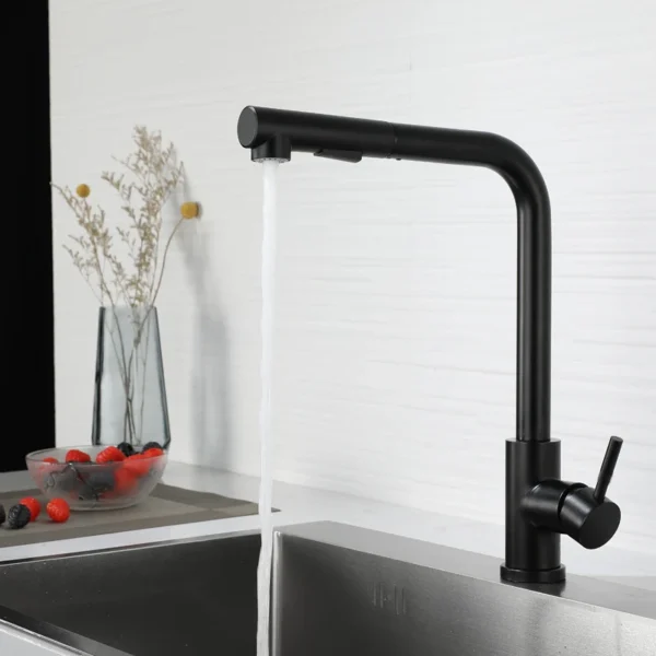 Kitchen pull-out faucet 304 stainless steel hot and cold faucet black sink faucet with two levels of water outlet