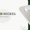 Se8c06c6cca7b48af9d614c32168e0bbdr.webp Bidet Toilet Seat Attachment Ultra-thin Non-electric Self-cleaning Dual Nozzles Frontal