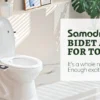 Sf1476e20fa614daea239e56533878617g.webp Bidet Toilet Seat Attachment Ultra-thin Non-electric Self-cleaning Dual Nozzles Frontal